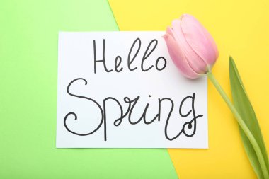 Yazıt Merhaba bahar ile renkli arka plan üzerinde Pembe Lale