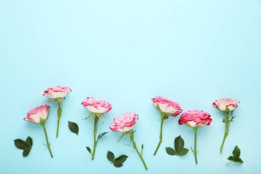 Pembe Gül çiçek yeşil yapraklar üzerinde mavi arka plan