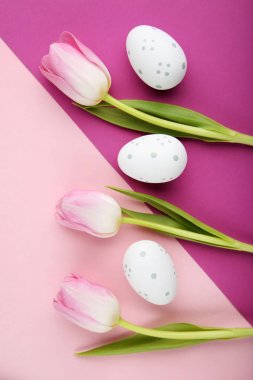 Paskalya yumurtaları renkli arka plan üzerinde ile pembe laleler