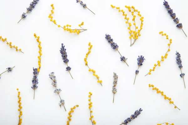 白い背景の上の黄色と青の花 — ストック写真