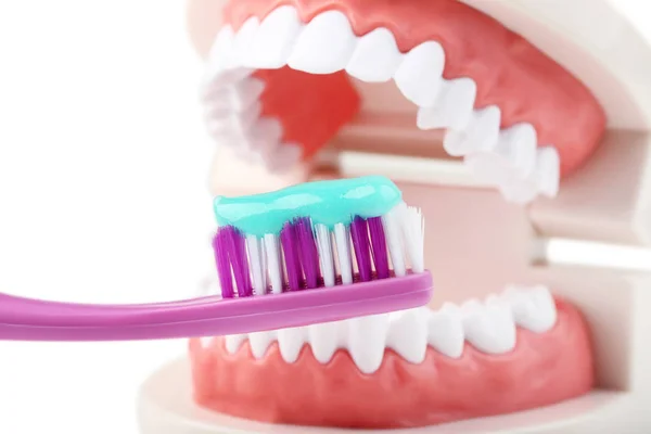 Tänder Modell Med Tandborste Och Tandkräm — Stockfoto