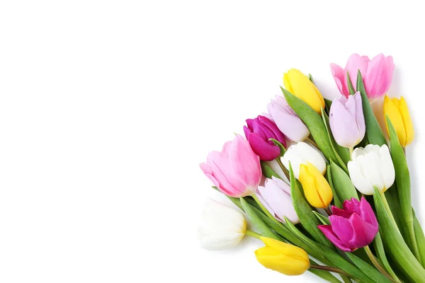 Bouquet Tulipes Isolées Sur Fond Blanc — Photo