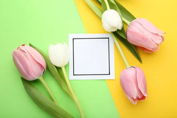 Flores Tulipán Con Tarjeta Felicitación Sobre Fondo Colorido — Foto de Stock