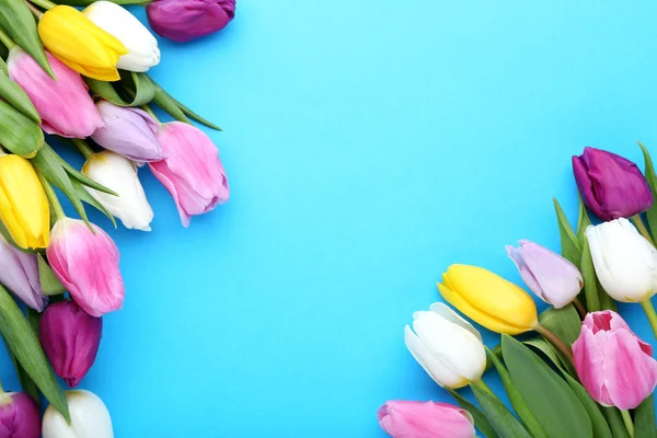 Ramo Tulipanes Sobre Fondo Azul — Foto de Stock