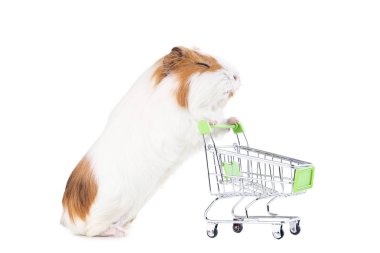 Alışveriş sepeti beyaz arka plan üzerinde izole ile eskiden şiling şimdi domuz