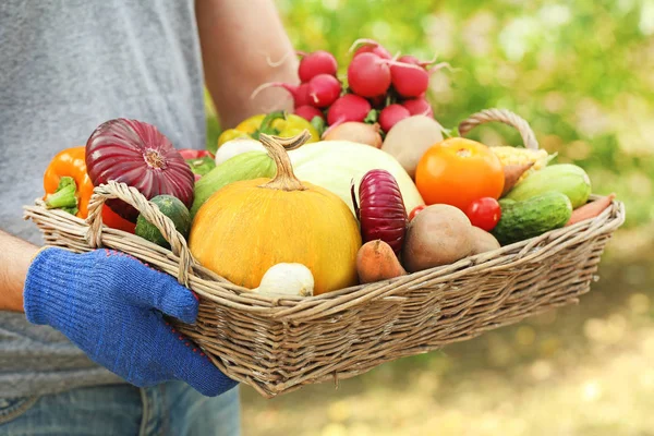 Manos Masculinas Sosteniendo Cesta Con Verduras Frescas —  Fotos de Stock