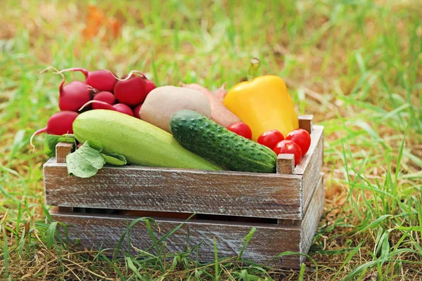 Jaula Con Verduras Frescas Jardín —  Fotos de Stock