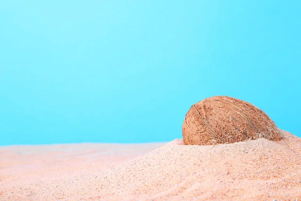 Kelapa Pasir Pantai — Stok Foto