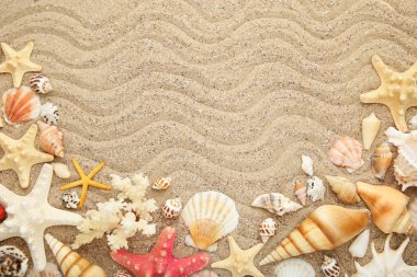 Deniz ve plaj kum üzerinde starfishes