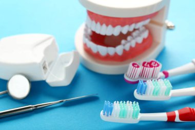 Diş fırçası ve diş aracı üzerinde mavi arka plan ile diş modeli