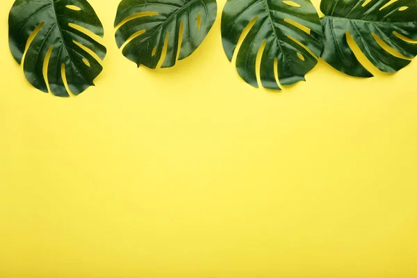 Monstera Zielonych Liści Żółtym Tle — Zdjęcie stockowe