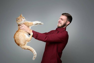 Anti holding kedi gri arka plan üzerinde olan genç adam