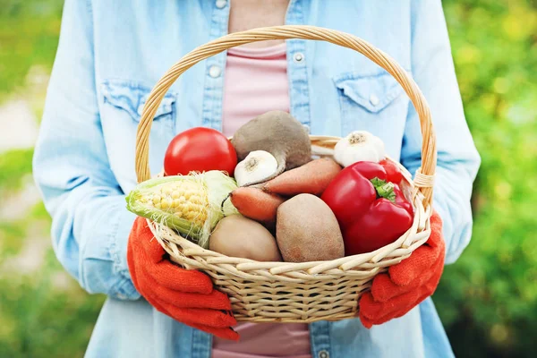 Mãos Femininas Segurando Cesta Com Legumes Frescos — Fotografia de Stock