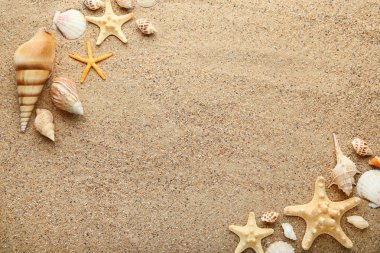 Deniz ve plaj kum üzerinde starfishes