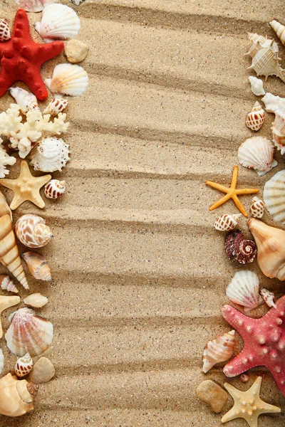 Conchiglie Stelle Marine Sulla Sabbia Della Spiaggia — Foto Stock