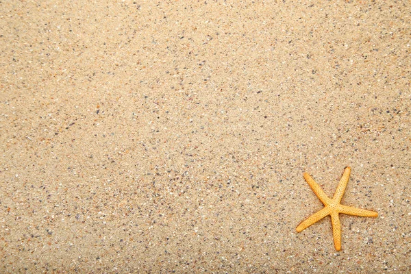 Starfish Areia Praia — Fotografia de Stock