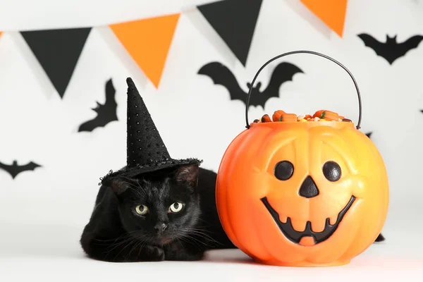 Black cat with candies in halloween bucket and paper bats on whi — Stock Photo, Image