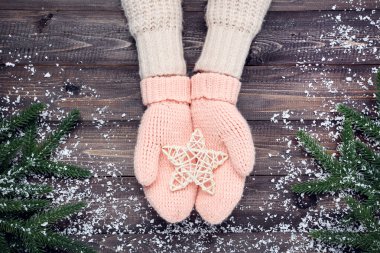 Ellerinde yıldız ve köknar dalları tutan eldiven var.