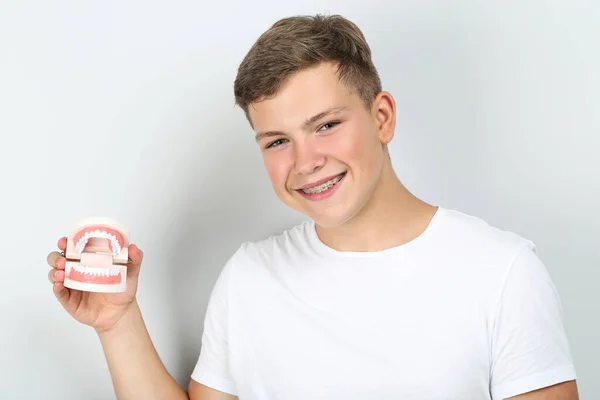 Mladý muž drží zuby model na šedém pozadí — Stock fotografie