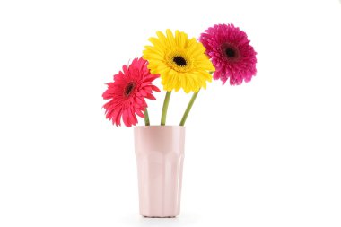 Beyaz arka planda izole edilmiş Gerbera çiçekleriyle seramik vazo