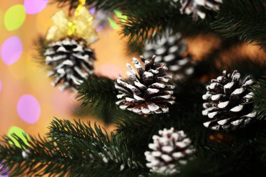 Arkaplanda bulanık ışık konileri olan köknar ağacı