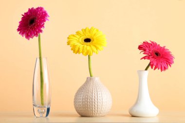 Bej arka planda Gerbera çiçekli seramik vazolar