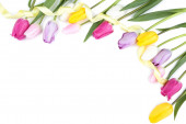 Картина, постер, плакат, фотообои "bouquet of tulip flowers on white background", артикул 327756244