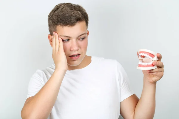 Joven sosteniendo los dientes modelo sobre fondo gris — Foto de Stock