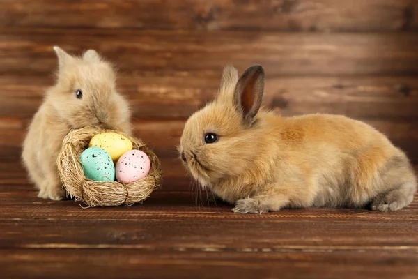 Lapins Lapins Avec Oeufs Pâques Dans Panier Sur Fond Bois — Photo