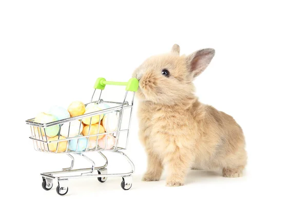 Кролик Пасхальными Яйцами Корзине Белом Фоне — стоковое фото