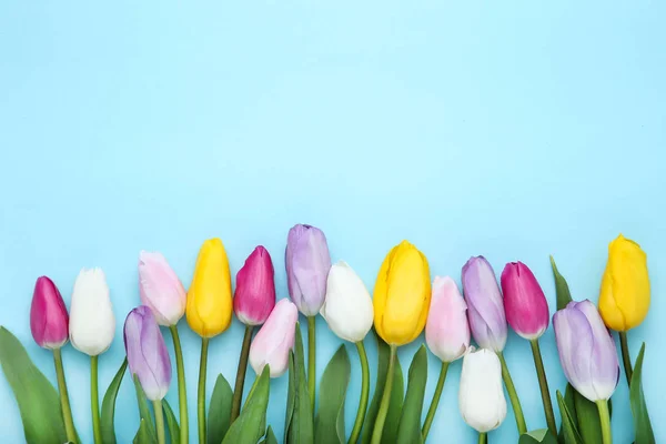 Strauß Von Tulpenblumen Auf Blauem Hintergrund — Stockfoto