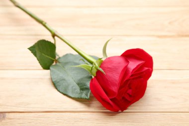 Kahverengi ahşap masa üzerinde kırmızı gül