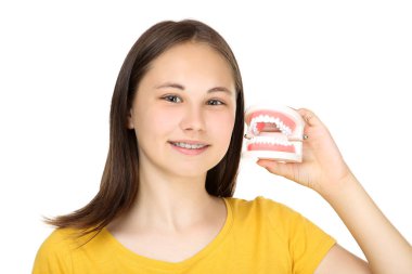 Dişlerinde diş teli olan genç bir kız beyaz sırtında diş mankeni tutuyor.