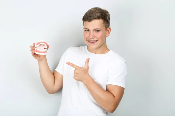 Joven con tirantes dentales sujetando dientes modelo en backgro gris —  Fotos de Stock