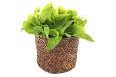 Beyaz arkaplanda izole edilmiş nane yaprakları