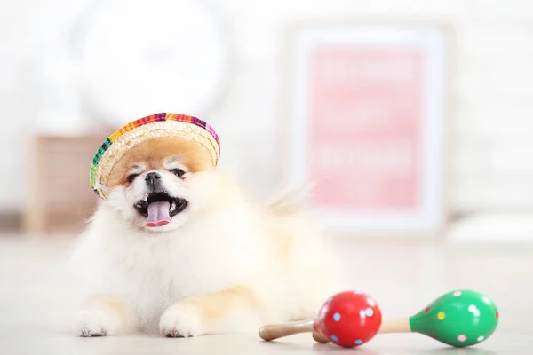 Pomeranian dog in straw hat with mexican maracas at home