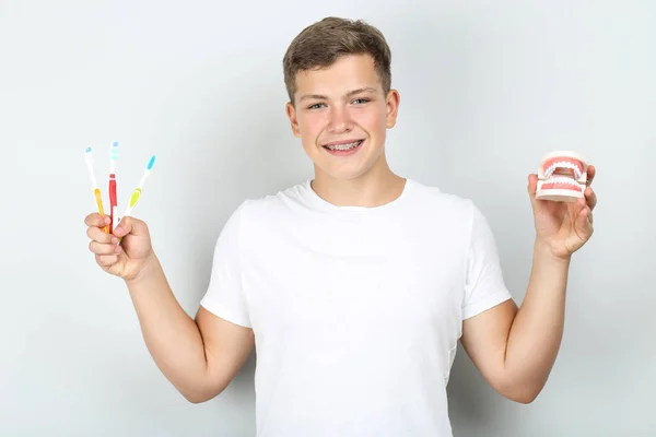 Mladý Muž Zubními Kartáčky Zuby Model Šedém Pozadí — Stock fotografie
