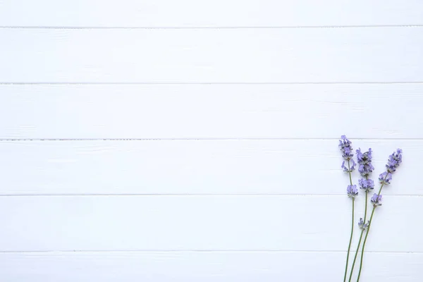 Lavendelblüten Auf Weißem Holztisch — Stockfoto
