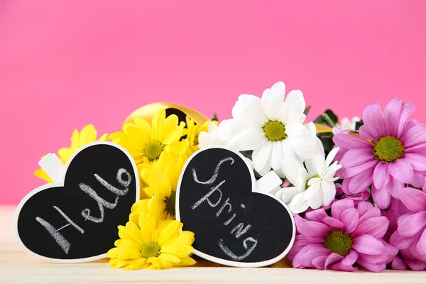 Λουλούδια Χρυσάνθεμα Κείμενο Γεια Σας Άνοιξη Ροζ Φόντο — Φωτογραφία Αρχείου