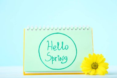 Kasımpatı çiçeği ve yazılı not defteri. Mavi arka planda bahar.