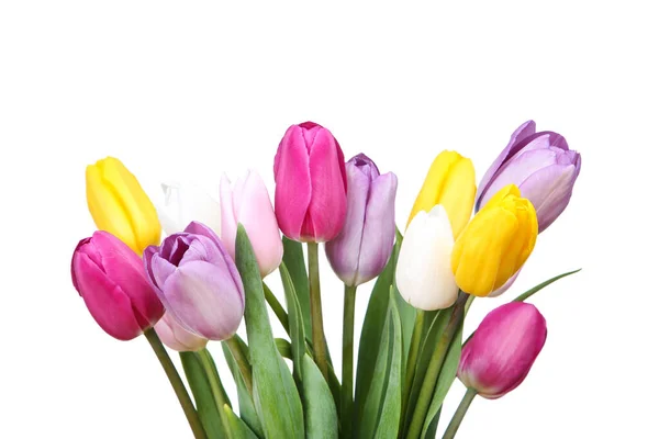 Ramo Flores Tulipán Sobre Fondo Blanco —  Fotos de Stock