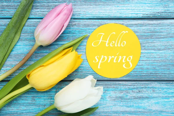 Tulip Flowers Text Hello Spring Blue Wooden Table — Stock Photo, Image