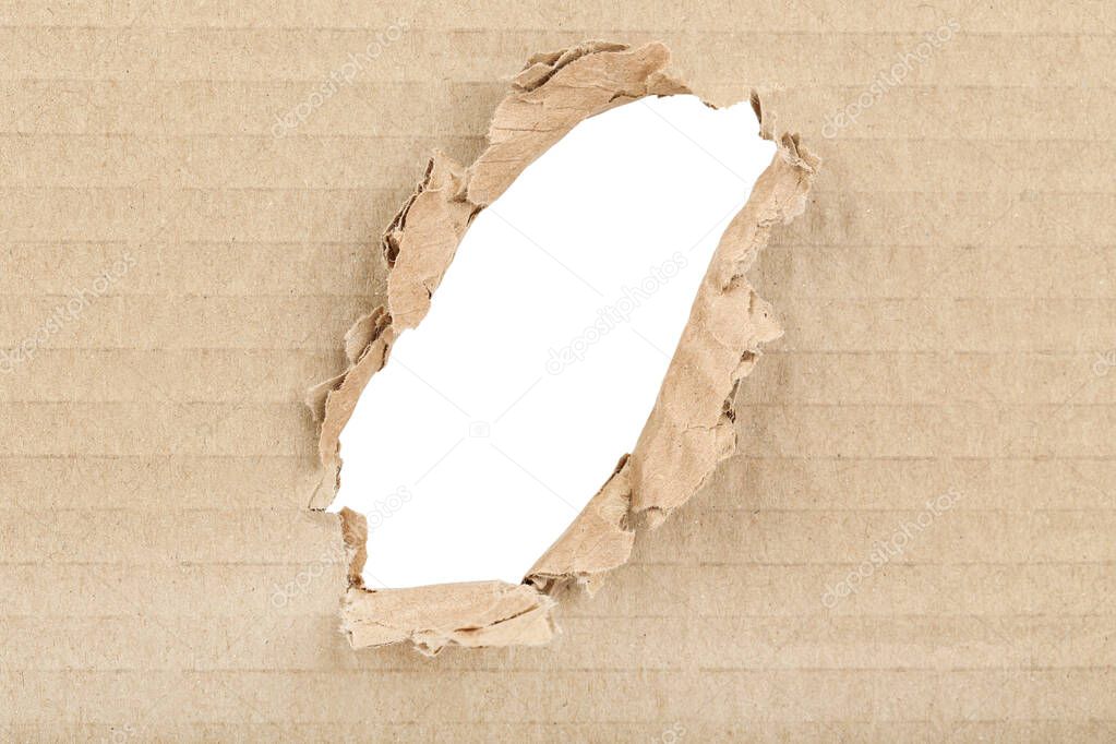 Ripped hole in cardboard on white background