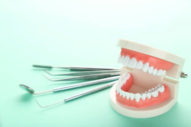 Yeşil arkaplanda diş aletleri olan bir model