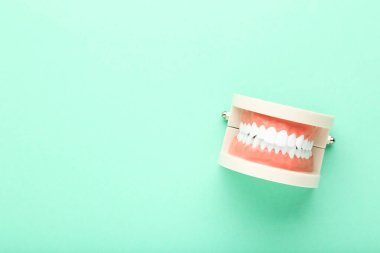 Nane arkaplanda diş modeli