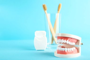 Mavi arkaplanda diş fırçası ve diş ipliği olan bir model