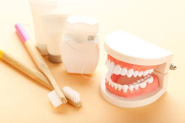 Teeth Model Toothbrushes Dental Thread Beige Background — Stock Photo, Image
