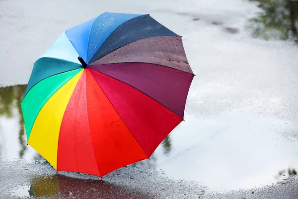 Colorful Umbrella Asphalt Rain — Stock Photo, Image