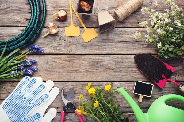 Herramientas Jardín Con Flores Sobre Mesa Madera Gris — Foto de Stock