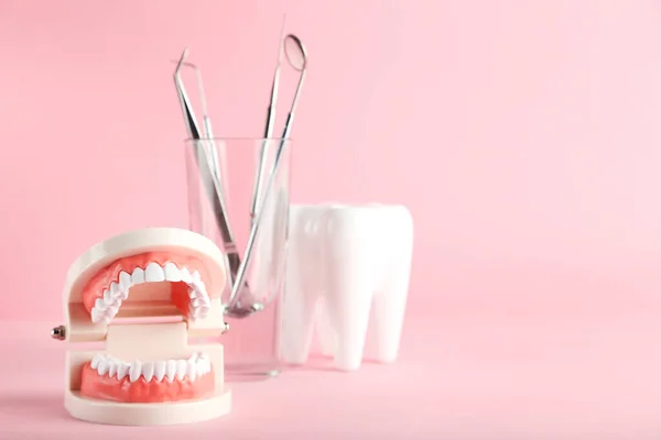 ピンクの背景に歯科用器具付き歯モデル — ストック写真
